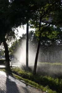 Spray Spray