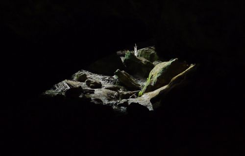 PunCavern (3)