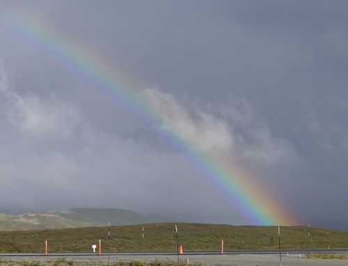 HainesRoad (4)