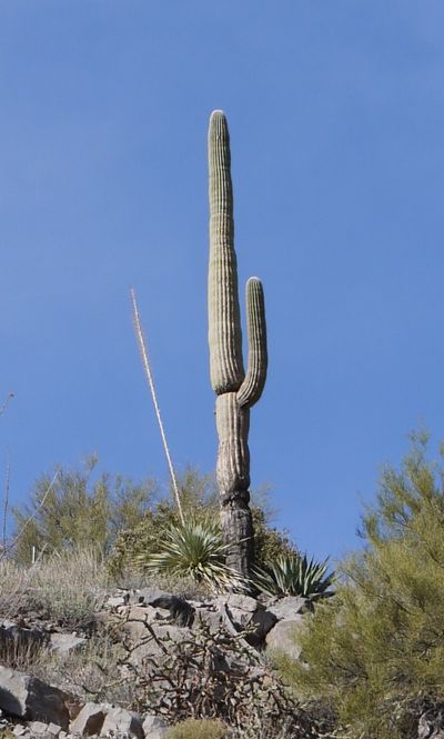 P1070488