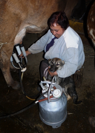 Helping hands